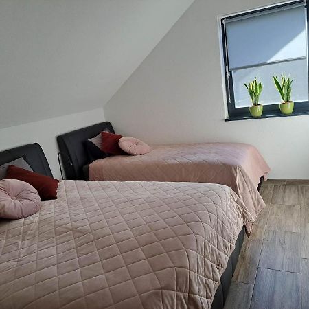 Apartmaji Tisa In Zana Rovte Екстер'єр фото