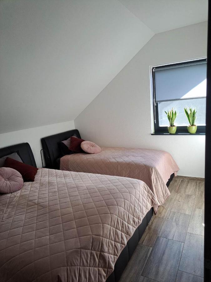 Apartmaji Tisa In Zana Rovte Екстер'єр фото