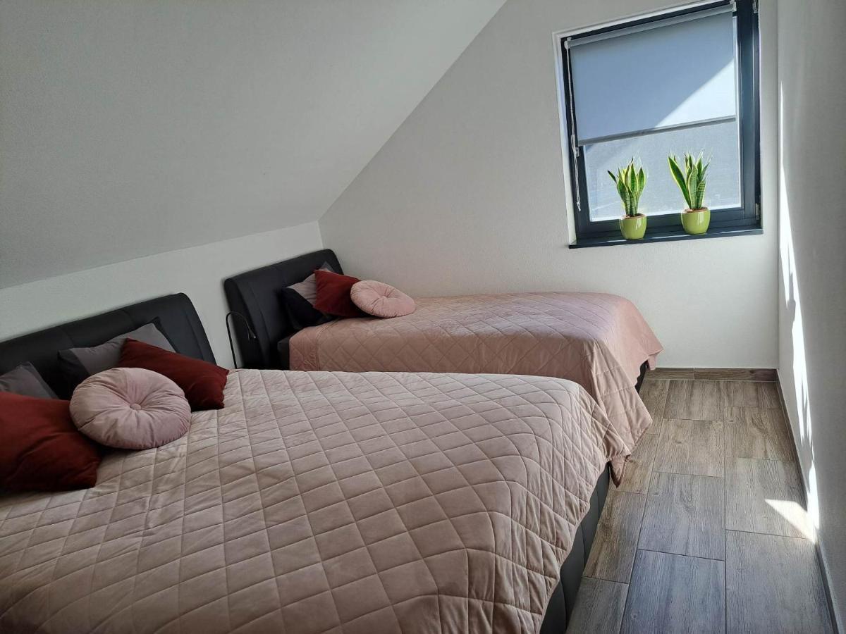Apartmaji Tisa In Zana Rovte Екстер'єр фото
